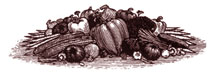 Pencil Drawing of Vegetables